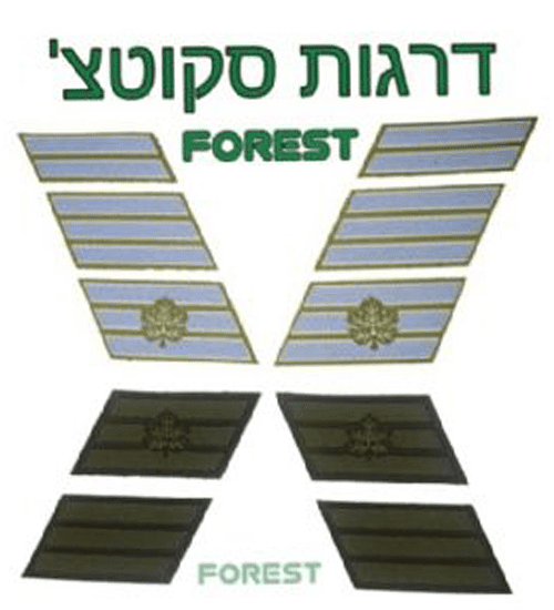 דרגות טקטיות סקוץ' (רגילות/חוד)זוג